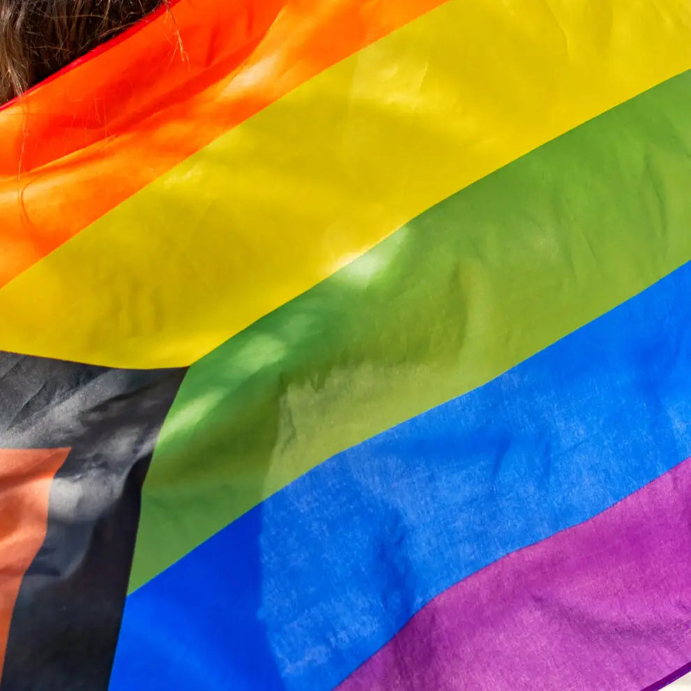 Pride Progress Flagge